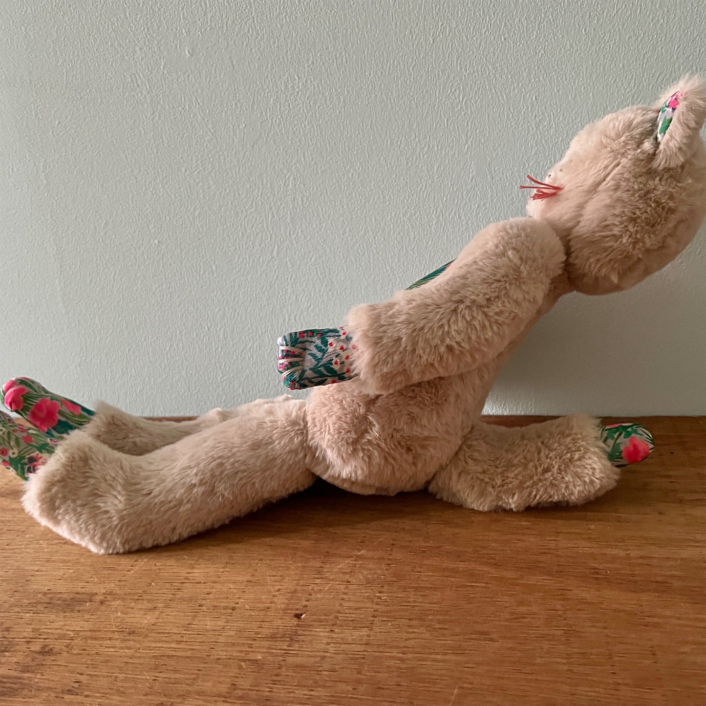 【AYUKO HAZU】Cat M 12