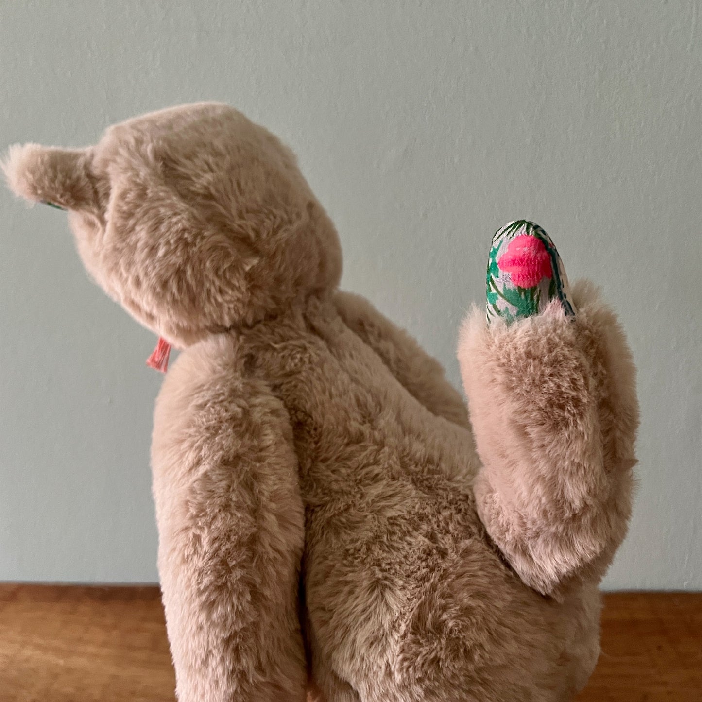 【AYUKO HAZU】Cat M 12