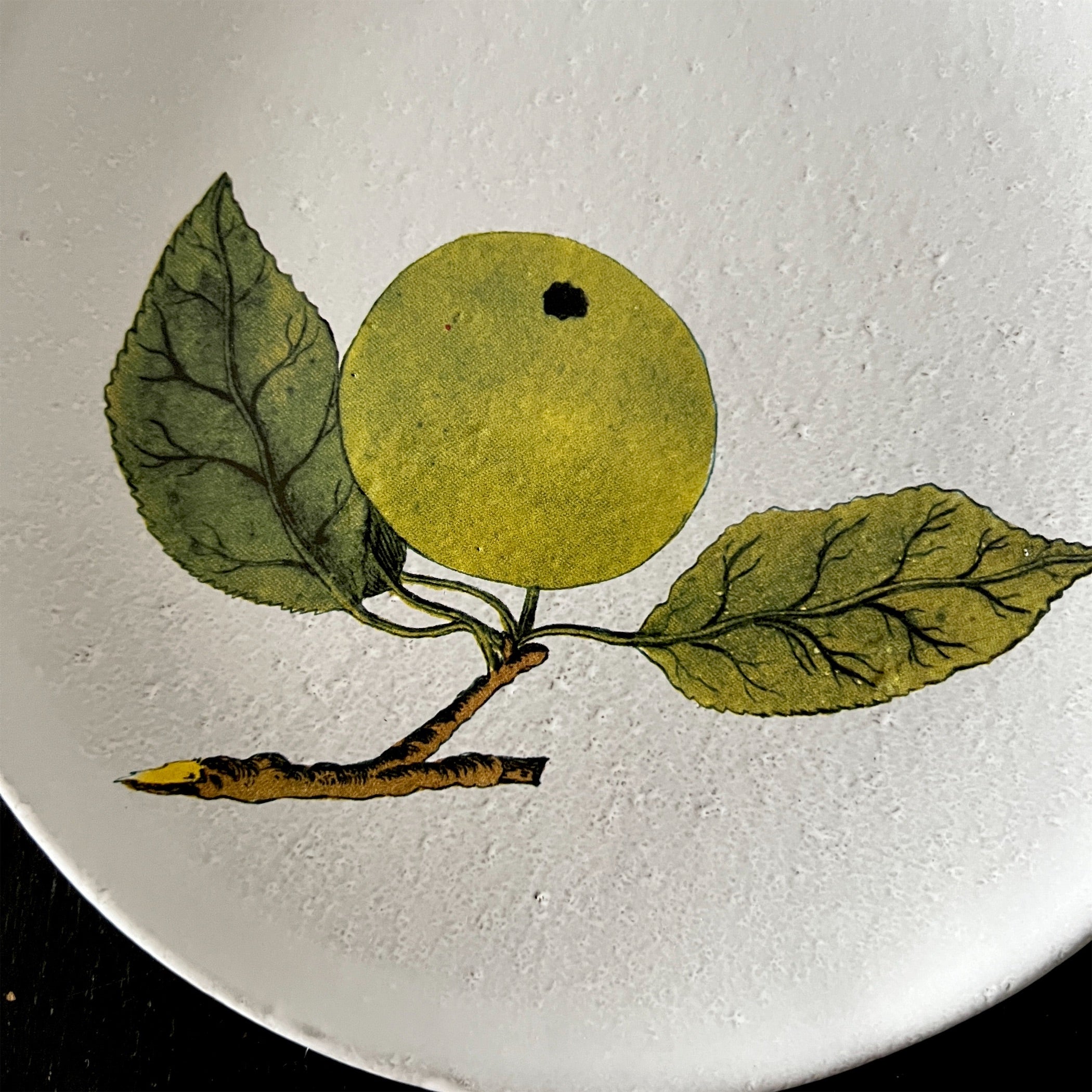 Artiste de Villatte 皿　葉っぱ柄 Artiste de Villatte 皿 葉っぱ柄