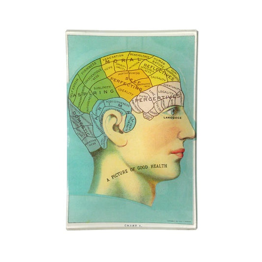 【JOHN DERIAN】デコパージュプレート Phrenology Head