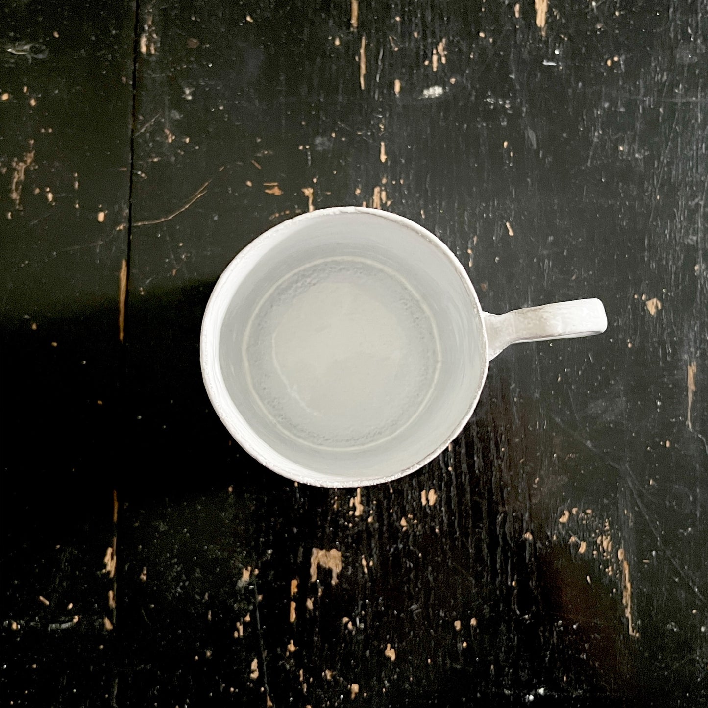 【Astier de Villatte】Chicks Mug