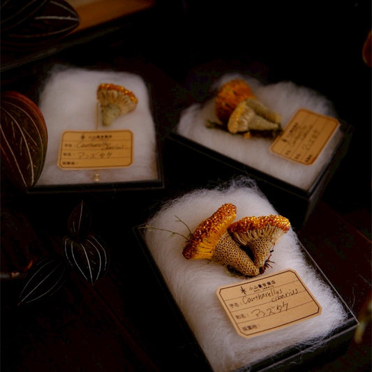 【小山兼吉商店】ホウセキゾウムシブローチC