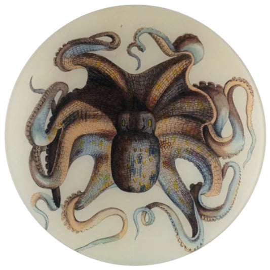 【JOHN DERIAN】デコパージュプレート Octopus_11R