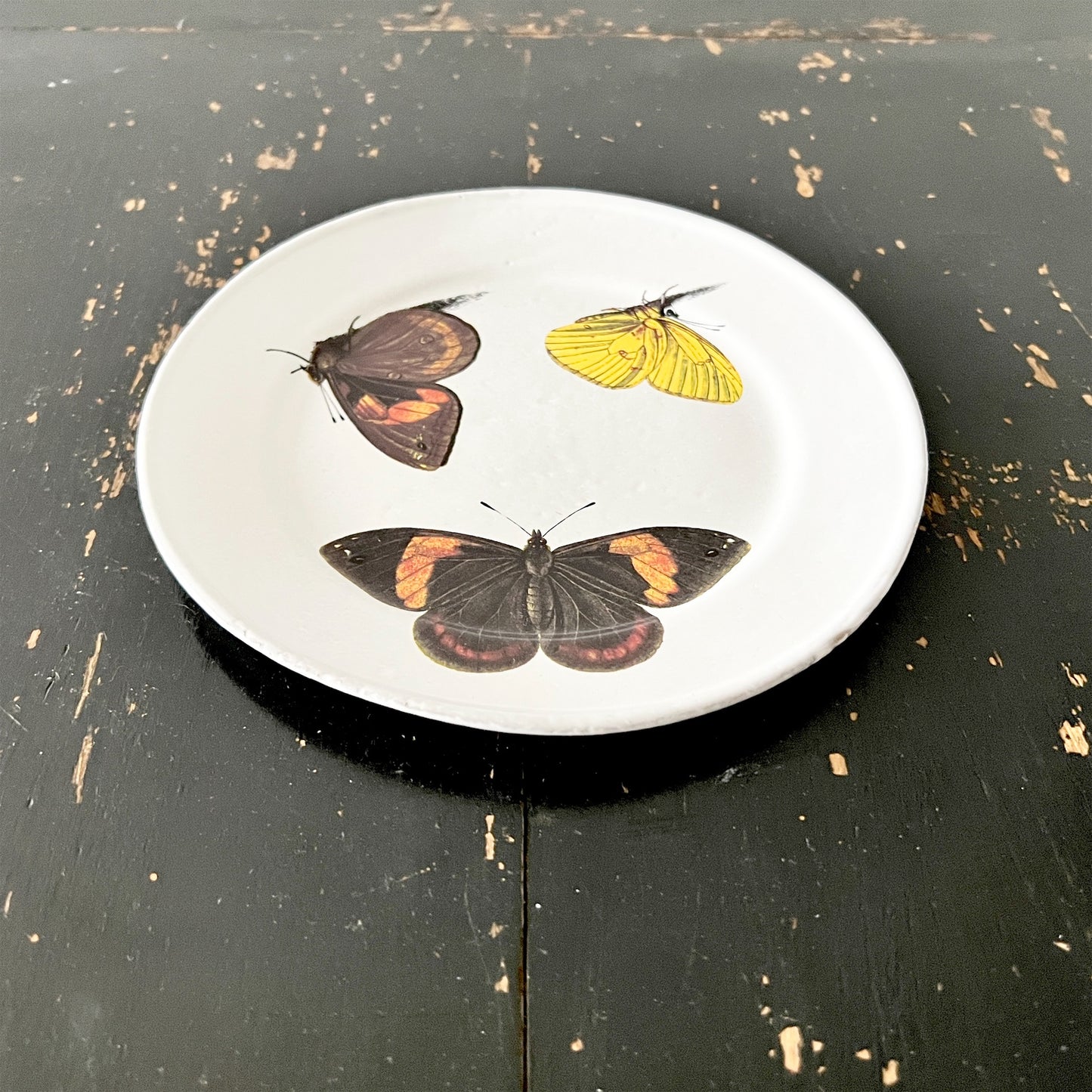 【Astier de Villatte】John Three Butterflies プレート