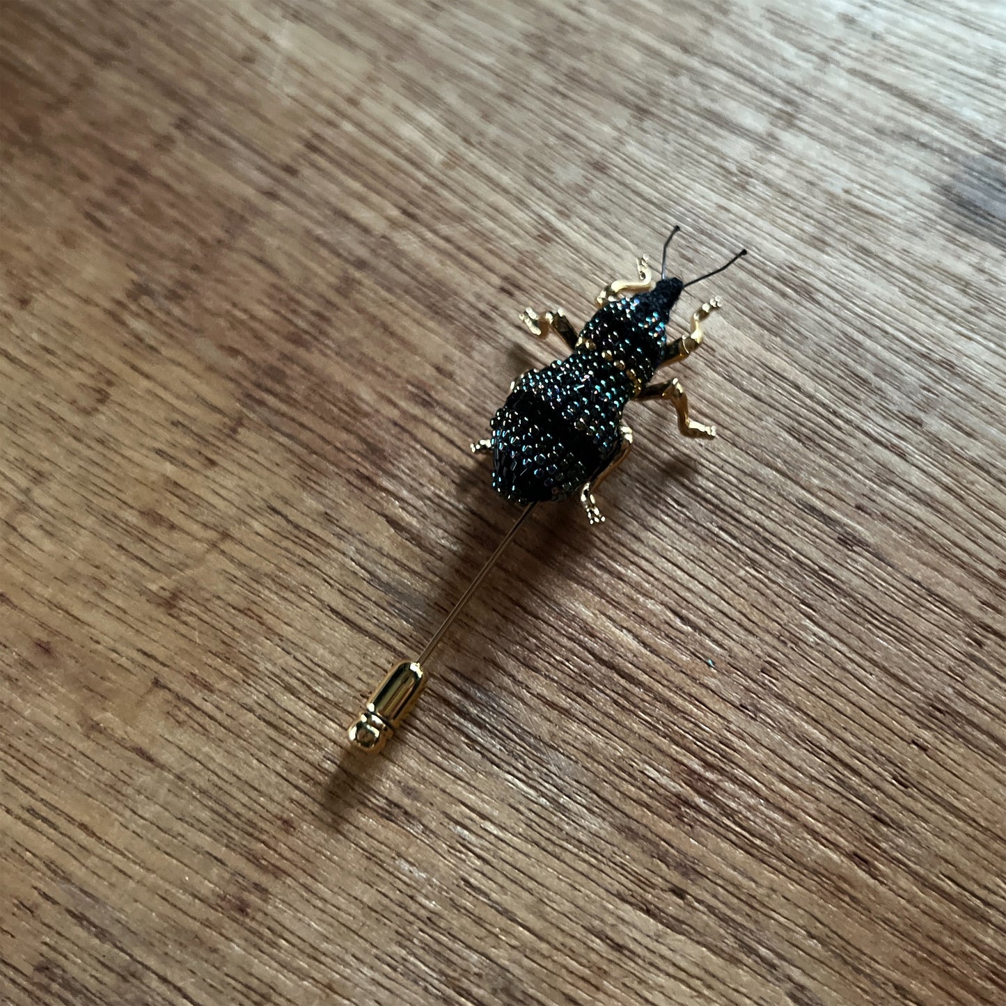 【小山兼吉商店】ホウセキゾウムシブローチC