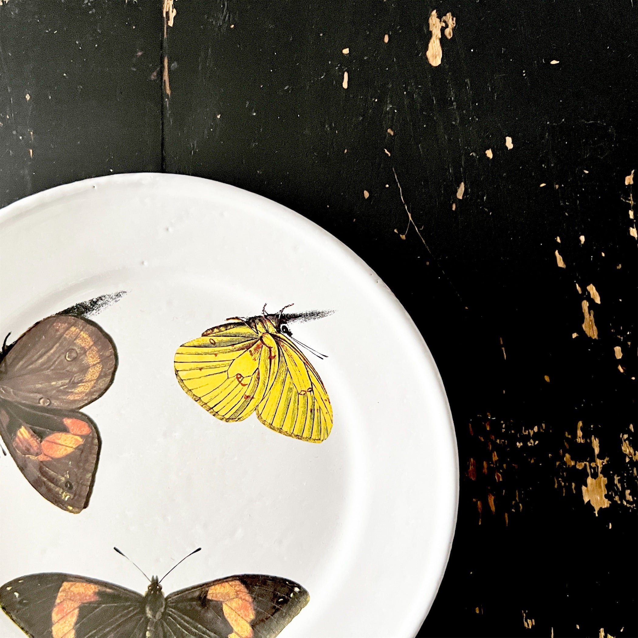Astier de Villatte】John Three Butterflies プレート | フィール