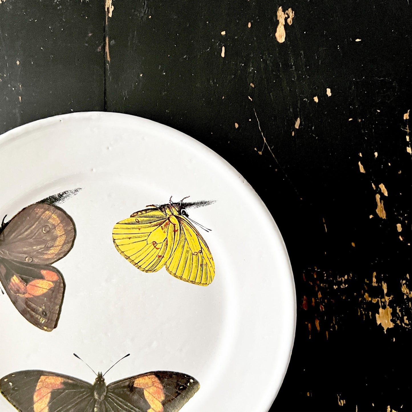 【Astier de Villatte】John Three Butterflies プレート