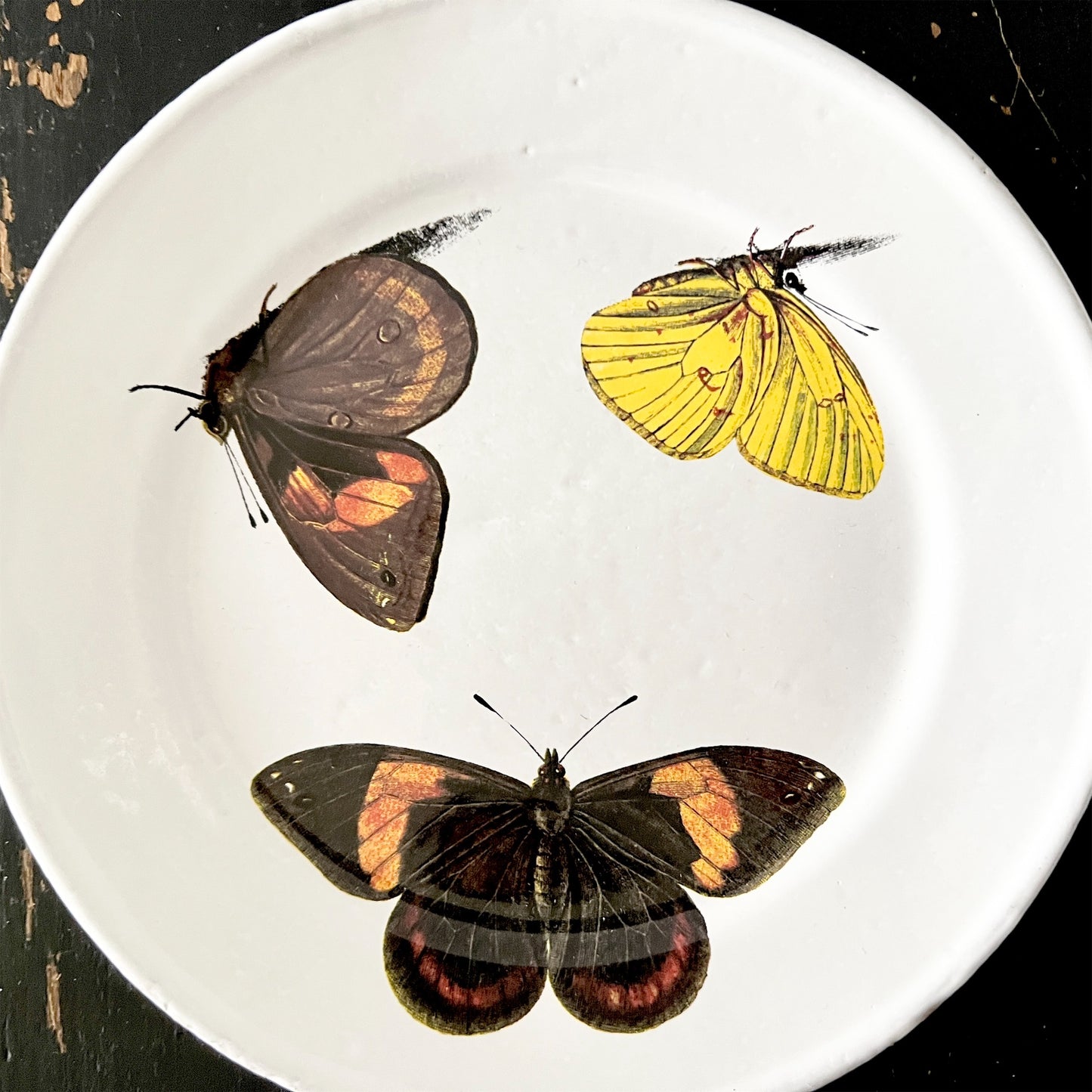 【Astier de Villatte】John Three Butterflies プレート
