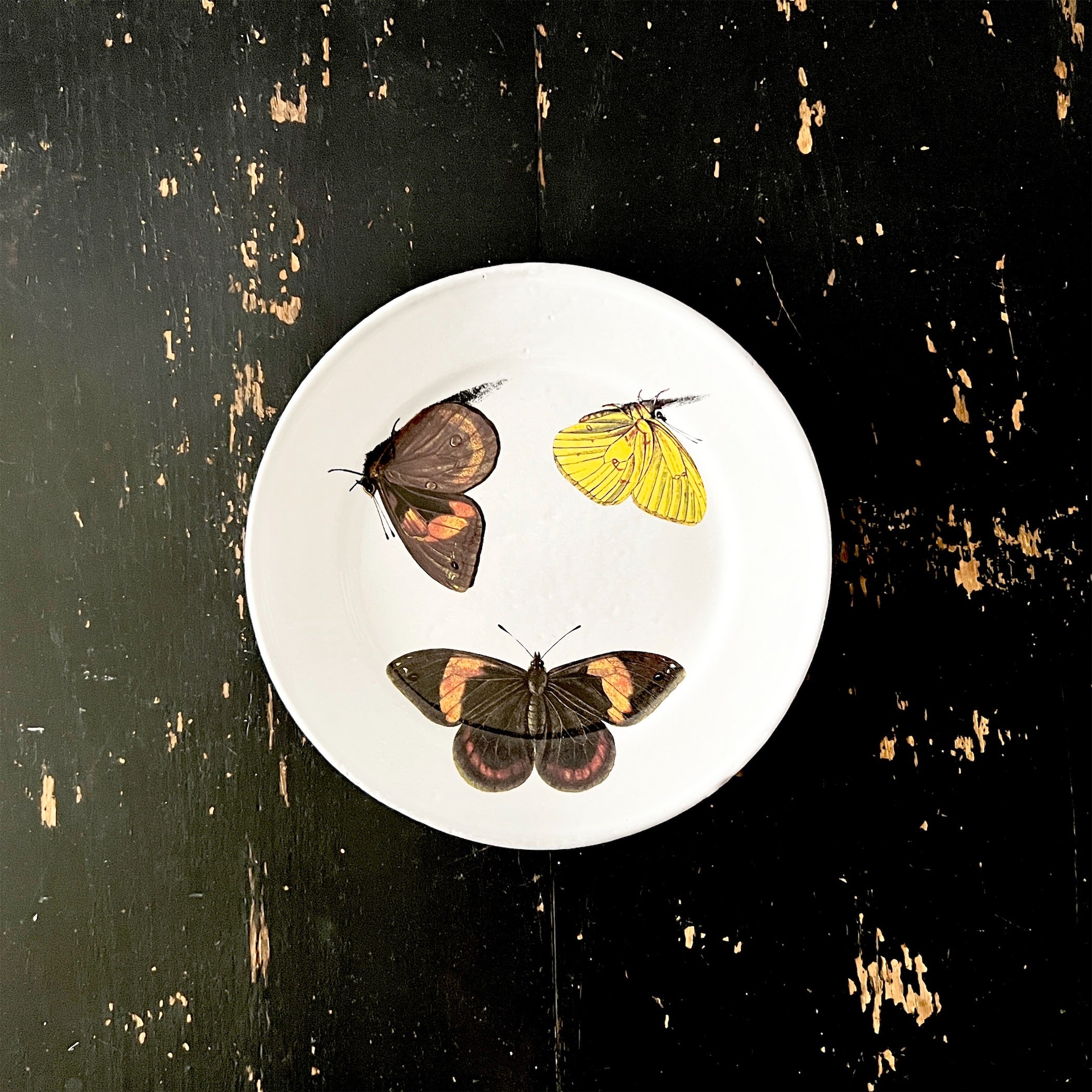 Astier de Villatte アスティエ　蝶の絵皿　ジョンデリアン Astier de Villatte】John Three Butterflies プレート | フィール