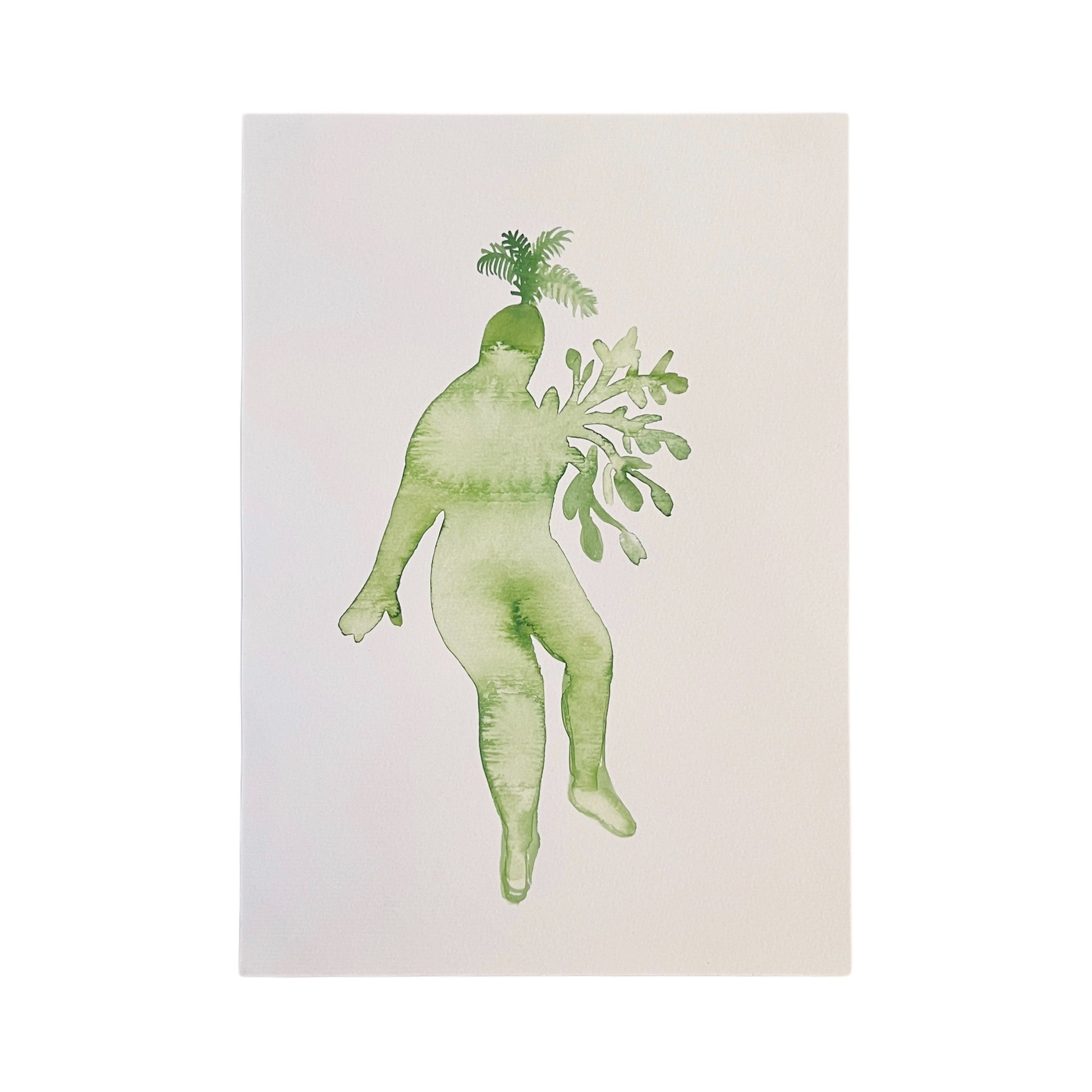 【Cathy Burghi 】全身薄緑植物