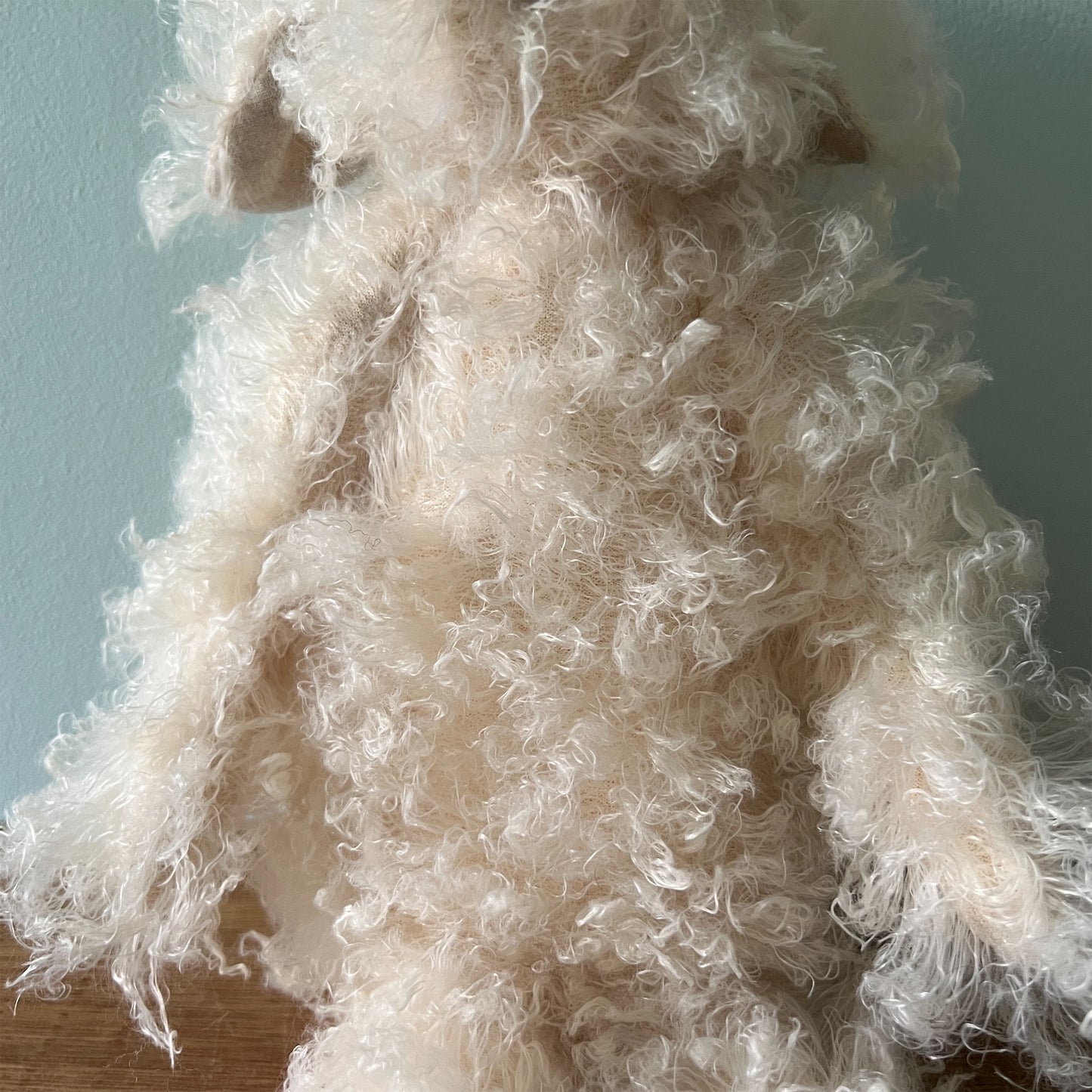 【AYUKO HAZU】Dog M 3