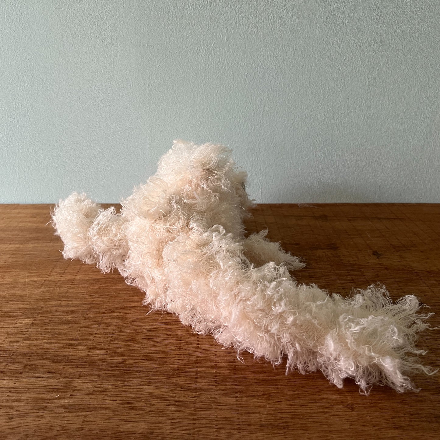 【AYUKO HAZU】Dog M 3