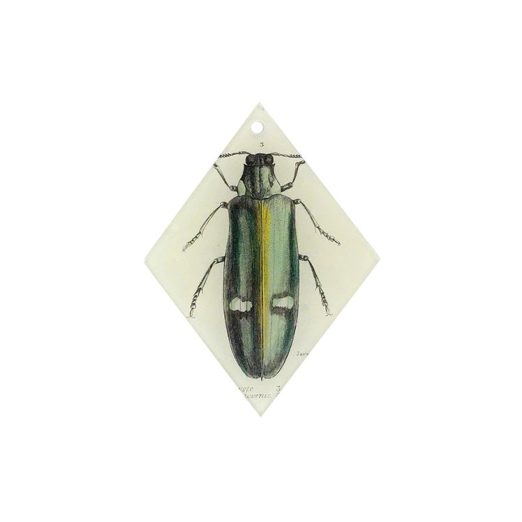 【JOHN DERIAN】オーナメントチャーム dor Jewel Beetle