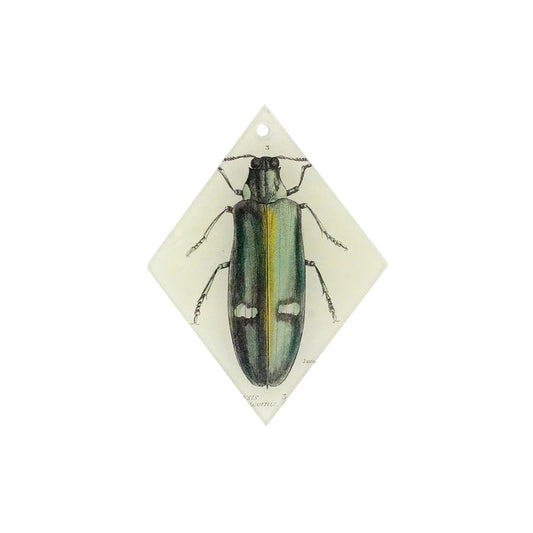 【JOHN DERIAN】オーナメントチャーム dor Jewel Beetle