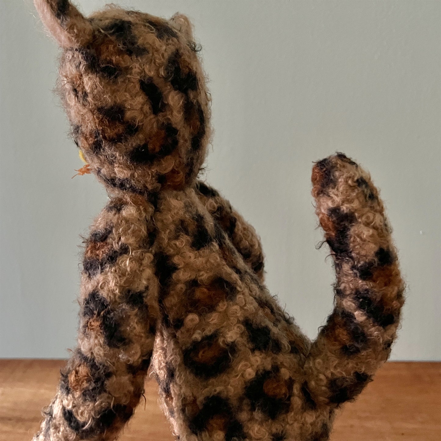 【AYUKO HAZU】Cat M 5