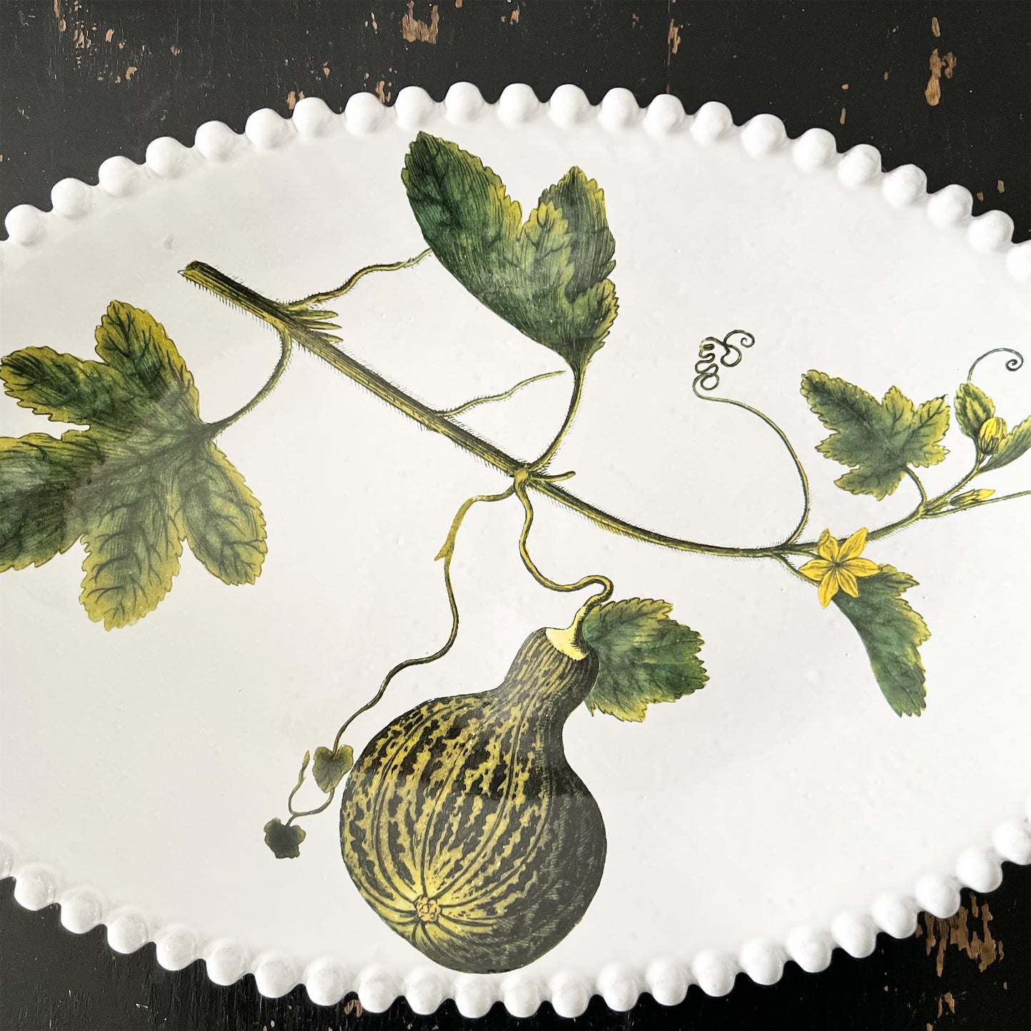 【Astier de Villatte】John フラットスカッシュプレート