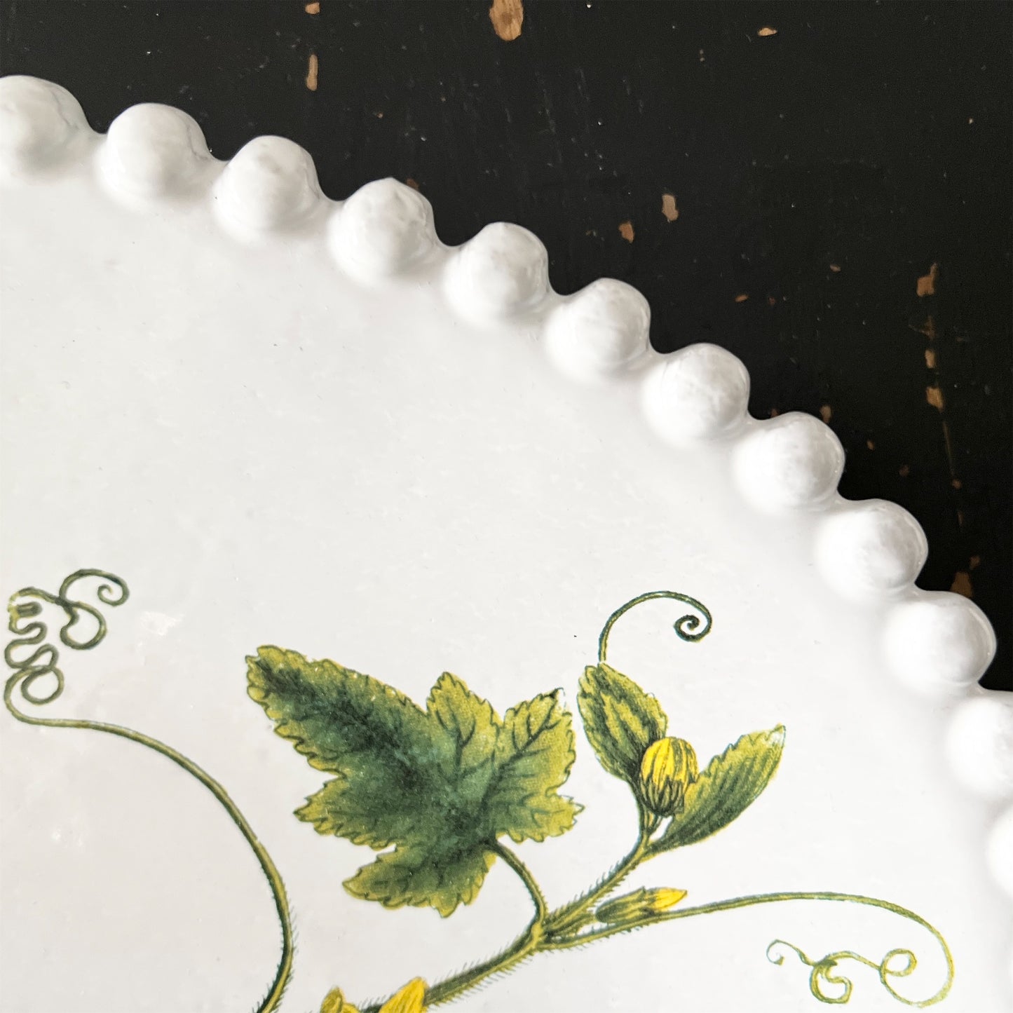 【Astier de Villatte】John フラットスカッシュプレート