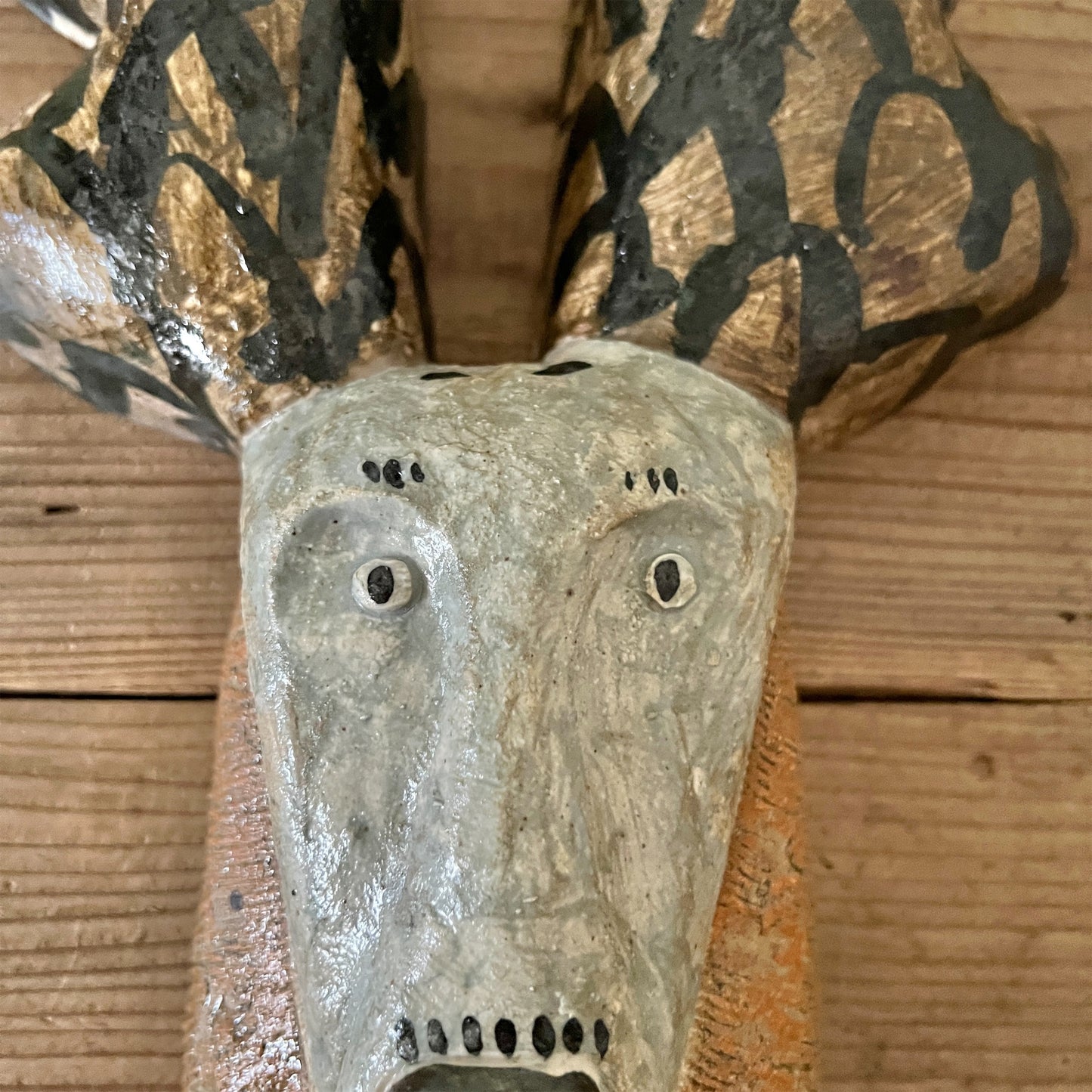 【三浦宏基】動物  13