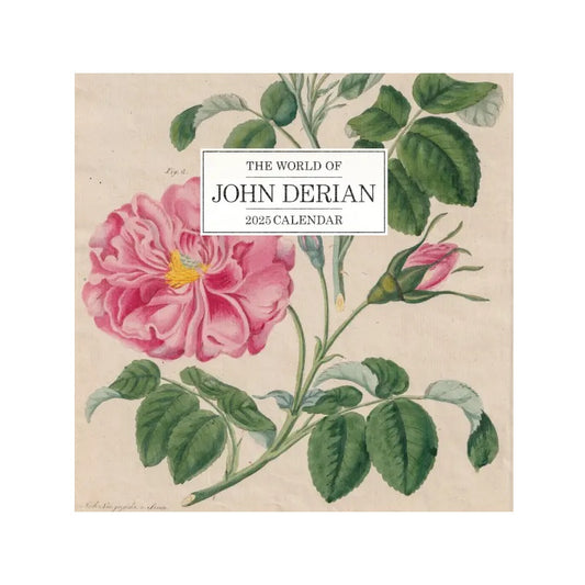 【JOHN DERIAN】Wall Calendar 2025