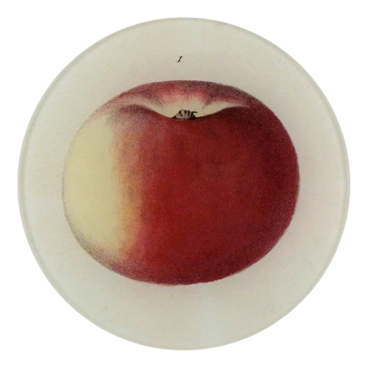 【JOHN DERIAN】デコパージュプレート Lady Apple 1_5R