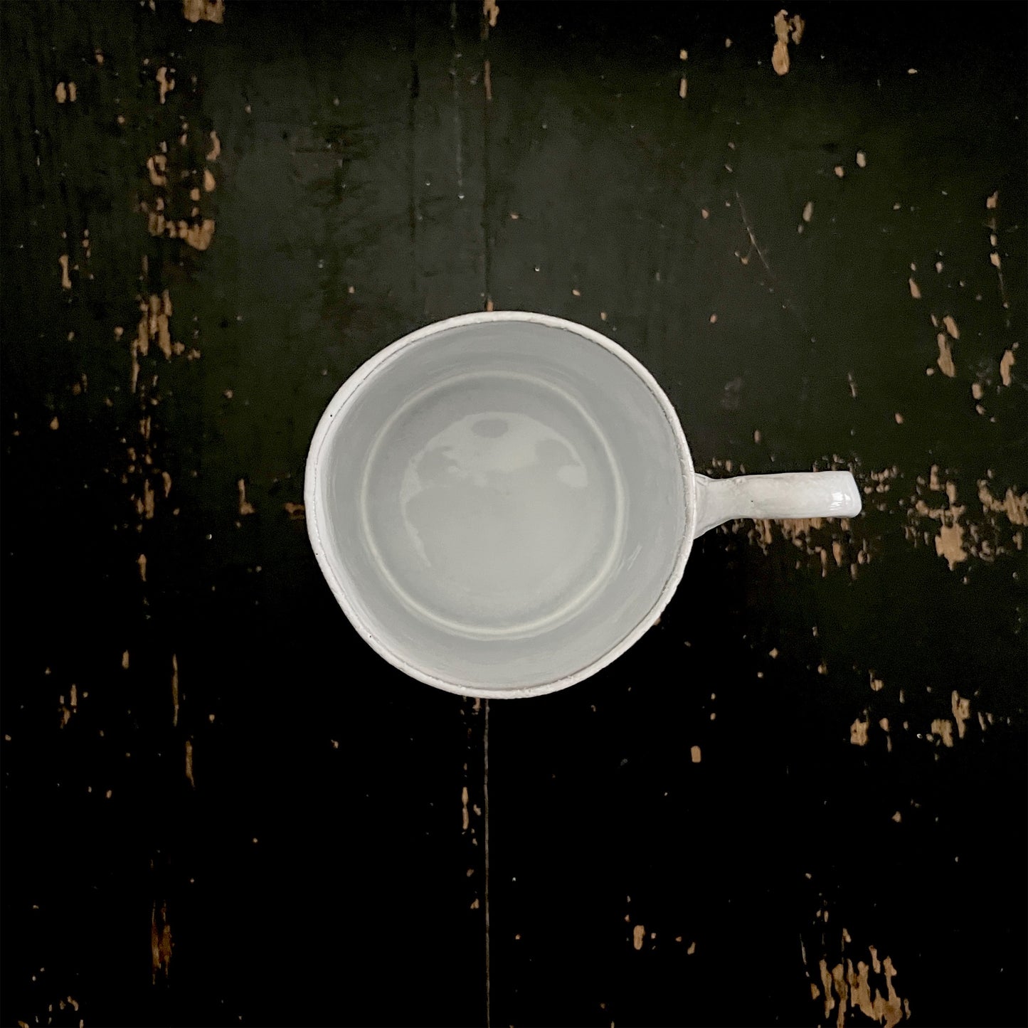 【Astier de Villatte】John Derian Four Leaf Clover Mug