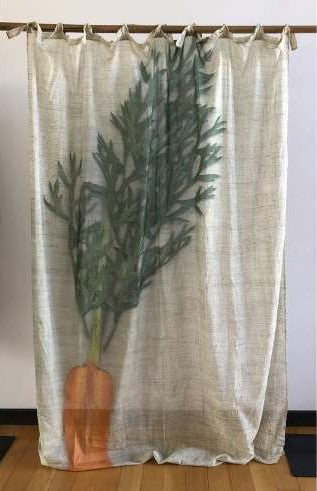 【colomba ledddi】Curtain_Cotton Voile_Carota L