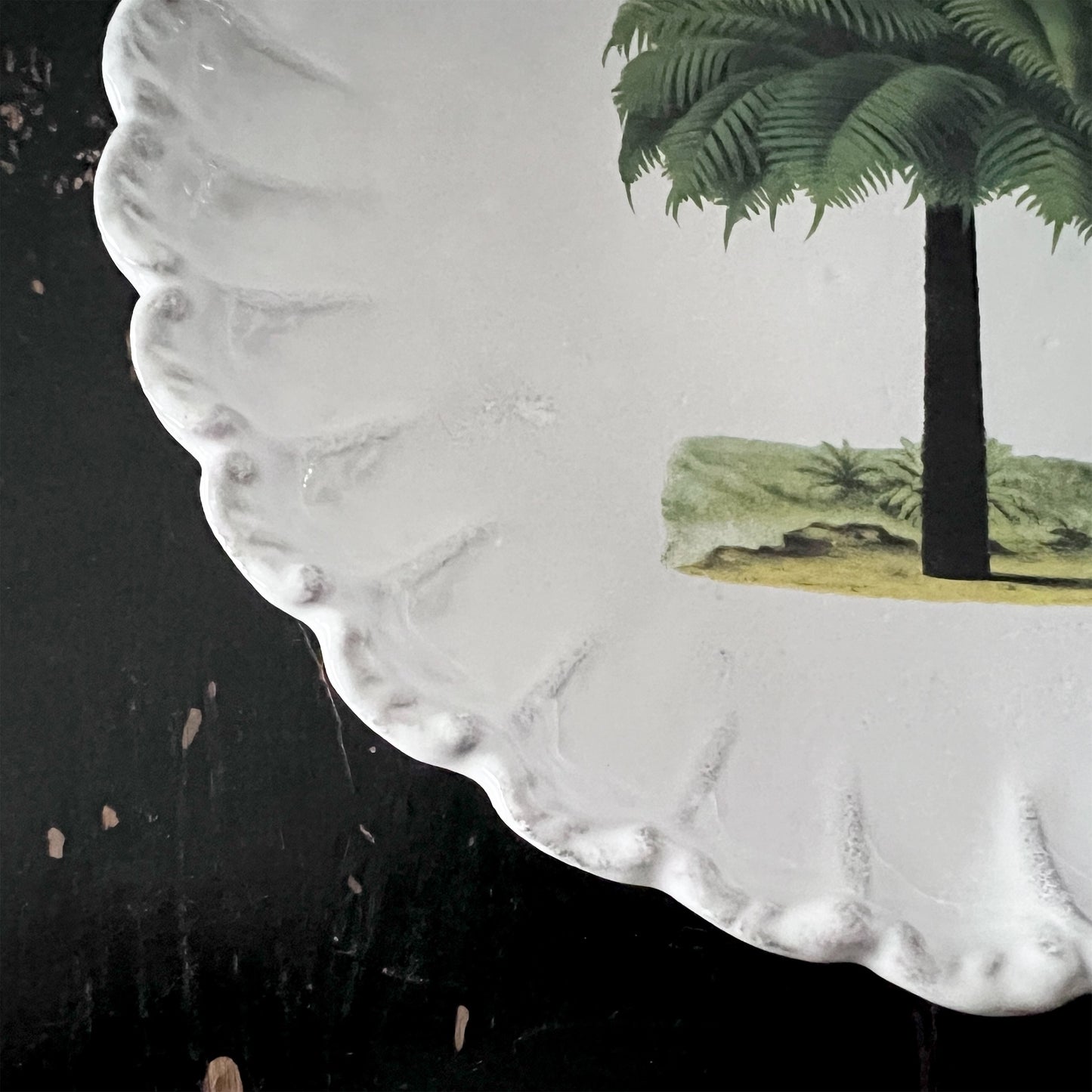 【Astier de Villatte】Palm Tree プレート