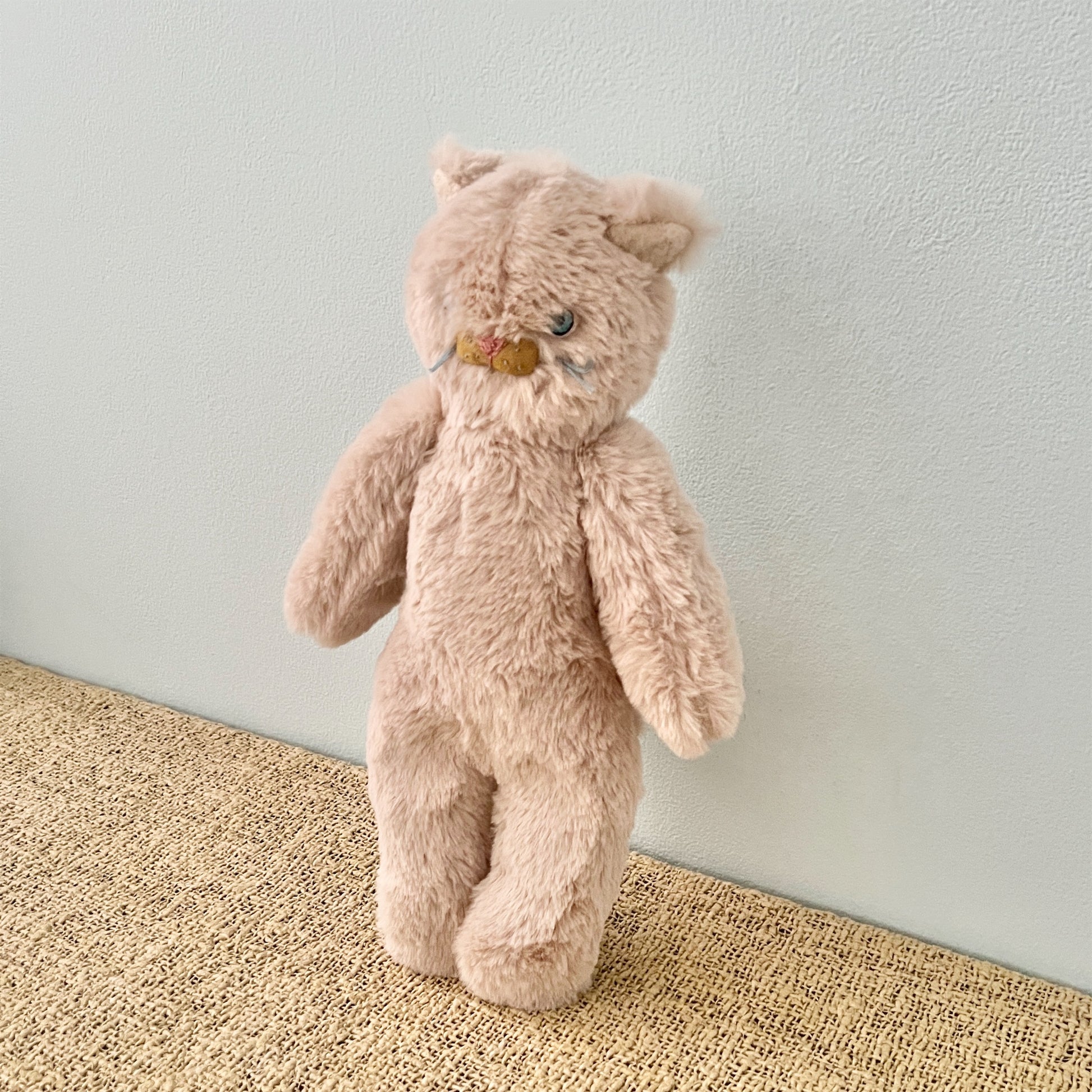 【AYUKO HAZU】Cat T  26_4
