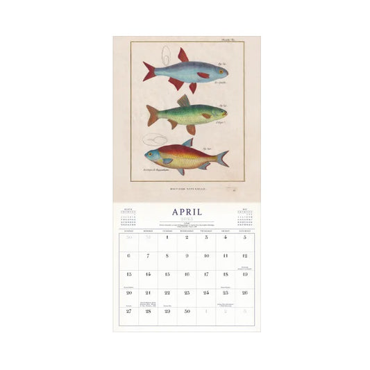 【JOHN DERIAN】Wall Calendar 2025