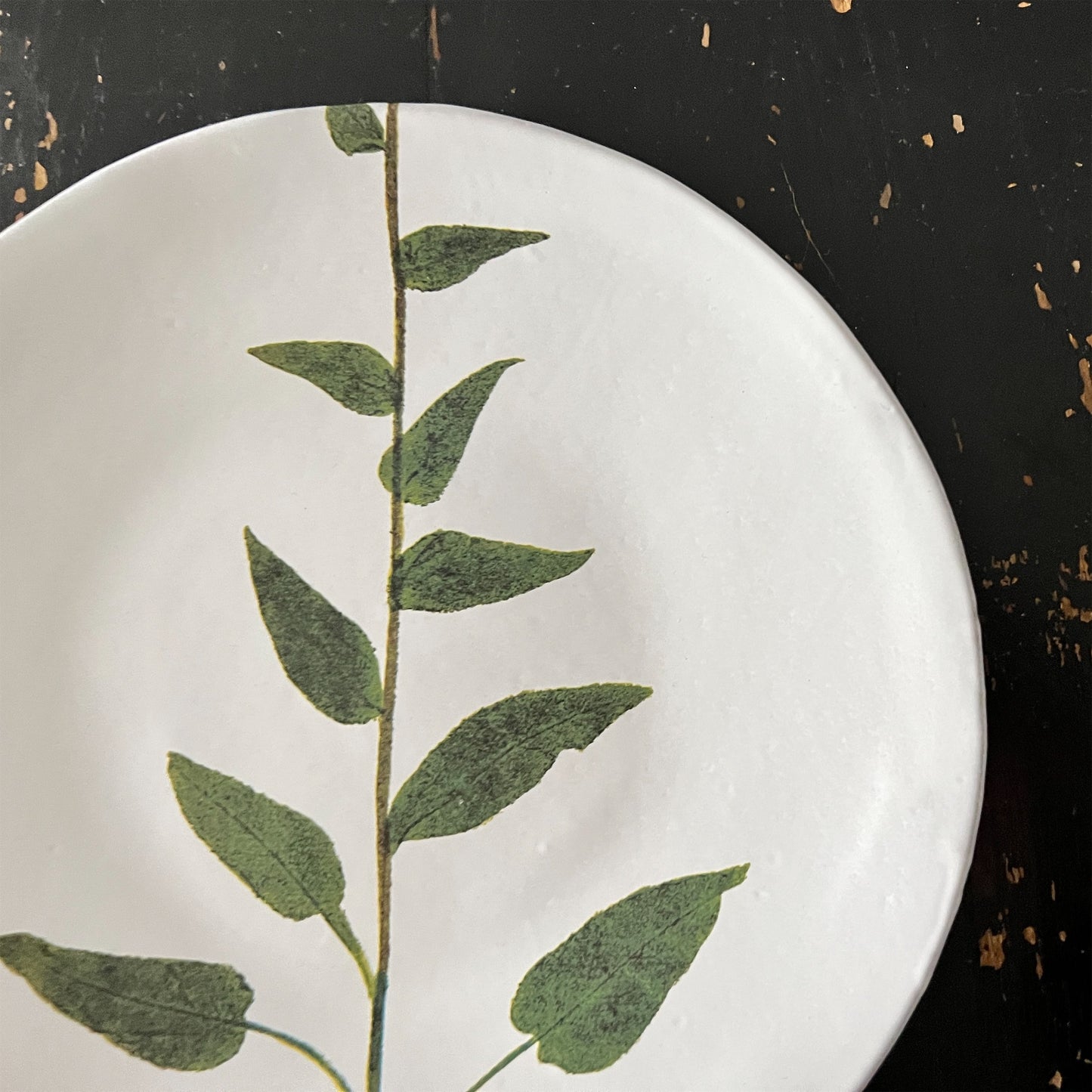 【Astier de Villatte】John Campanula プレート