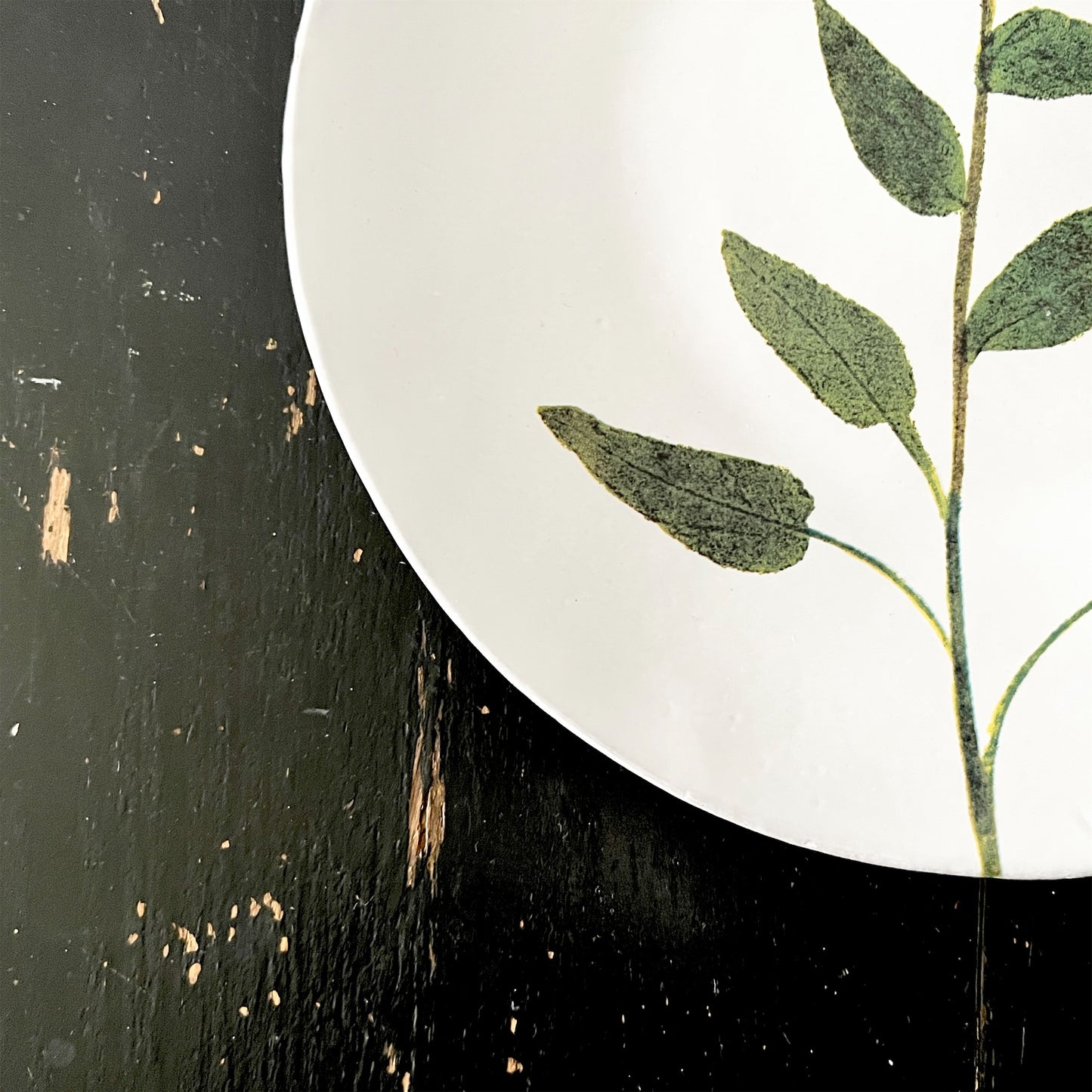 【Astier de Villatte】John Campanula プレート