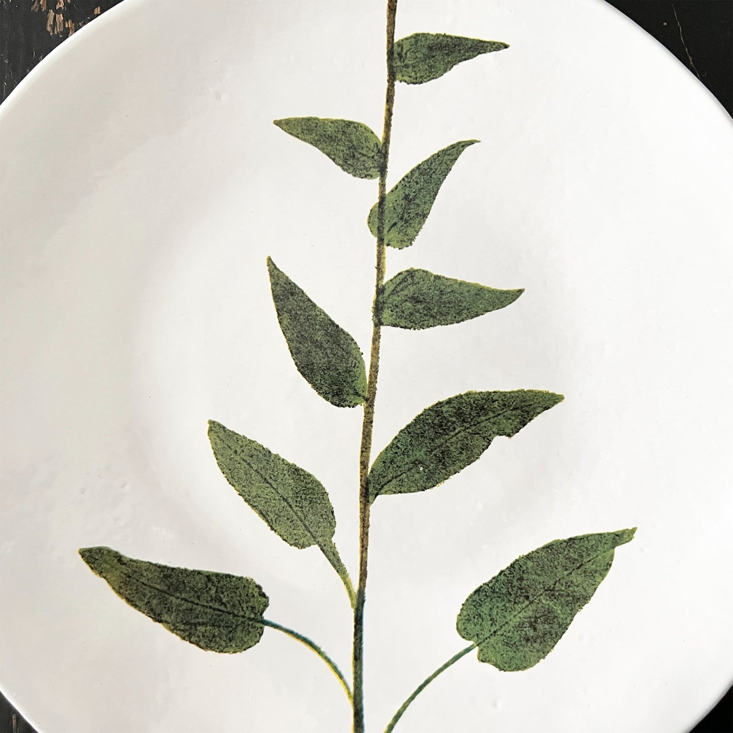 【Astier de Villatte】John Campanula プレート