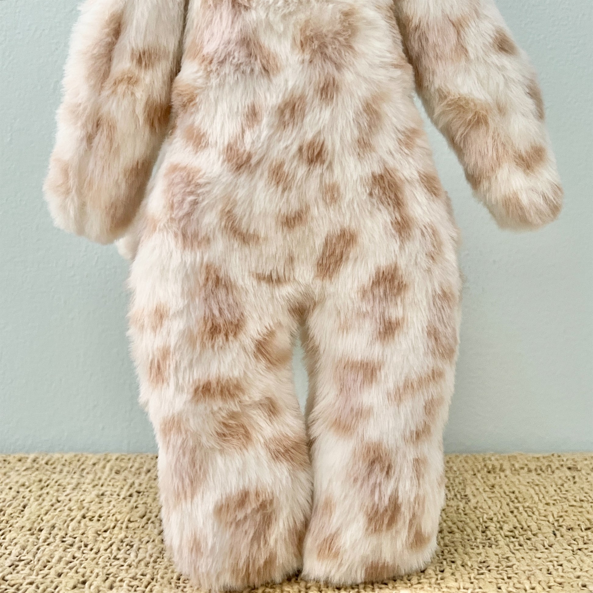 【AYUKO HAZU】Cat T  26_5