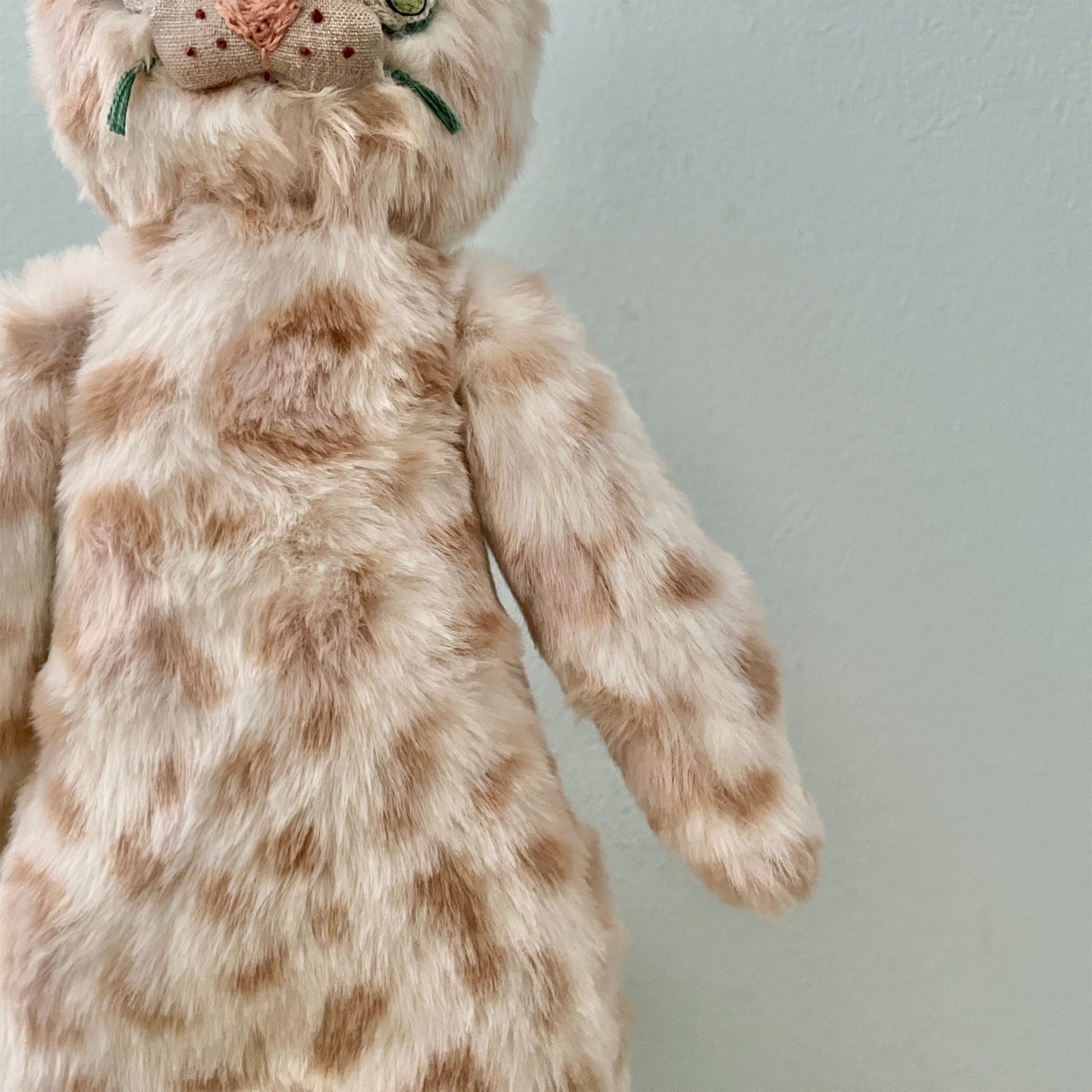 【AYUKO HAZU】Cat T  26_5