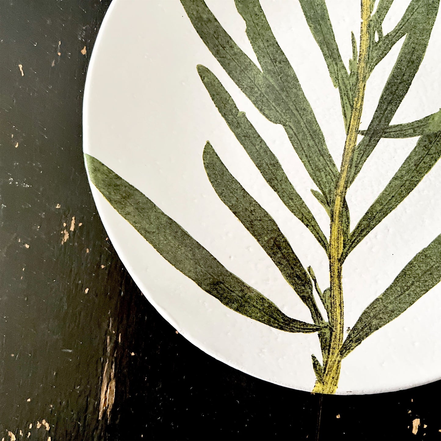 【Astier de Villatte】John レセダプレート