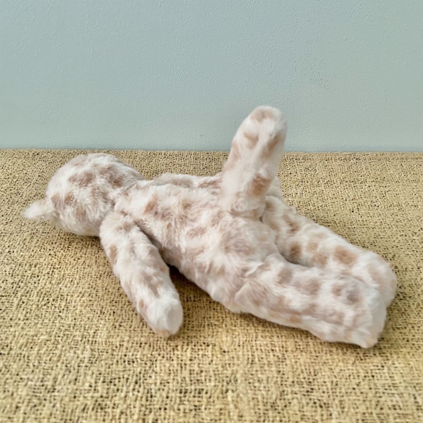 【AYUKO HAZU】Cat T  26_5