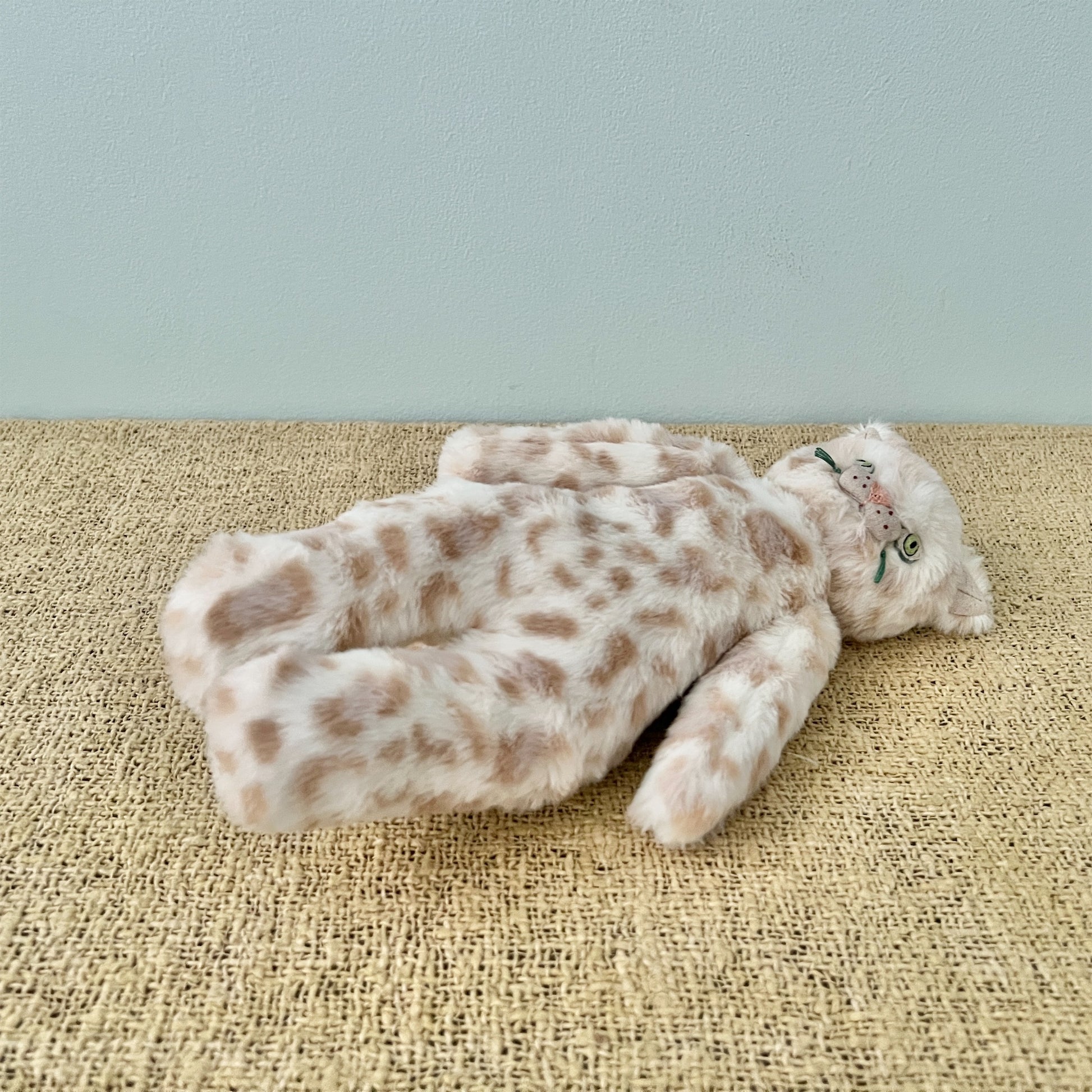 【AYUKO HAZU】Cat T  26_5