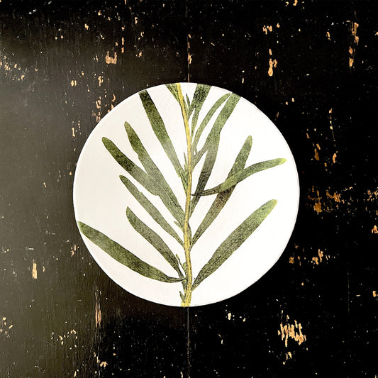 【Astier de Villatte】John レセダプレート