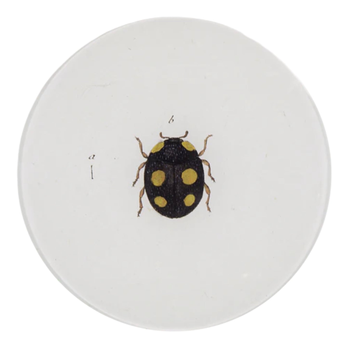 【JOHN DERIAN】デコパージュプレート Ladybird (Ladybug)_5R