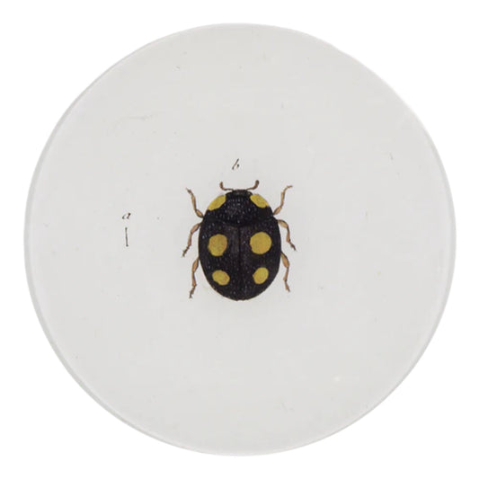【JOHN DERIAN】デコパージュプレート Ladybird (Ladybug)_5R
