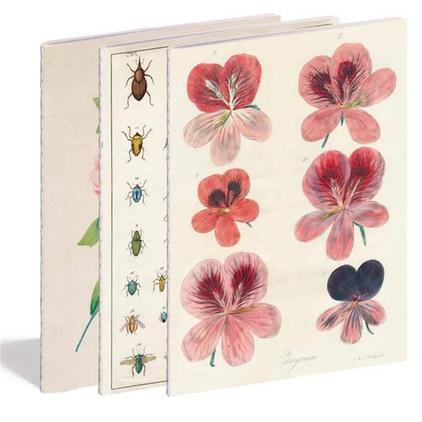 【JOHN DERIAN】IN THE GARDEN NOTEBOOK SET