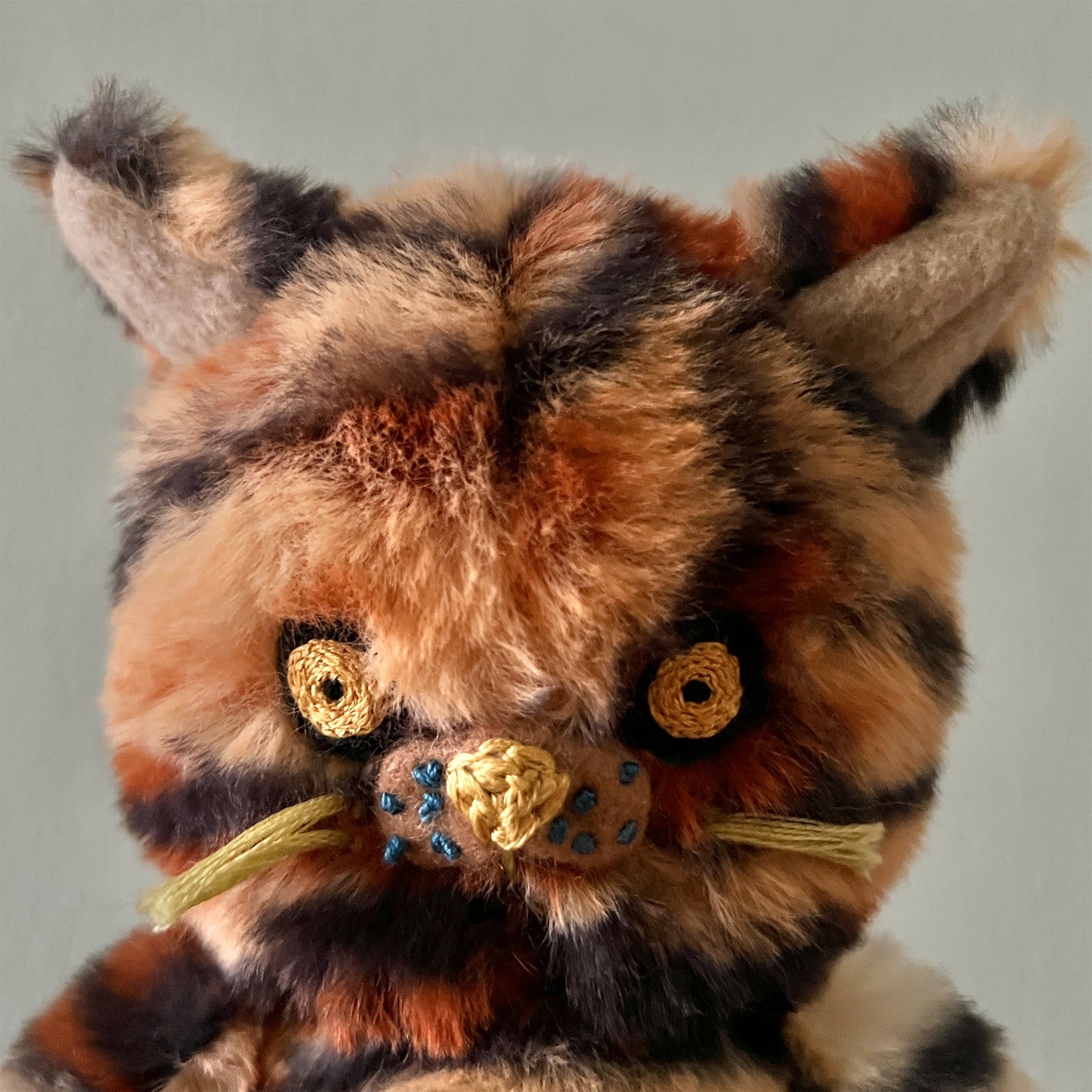 【AYUKO HAZU】Cat T 5