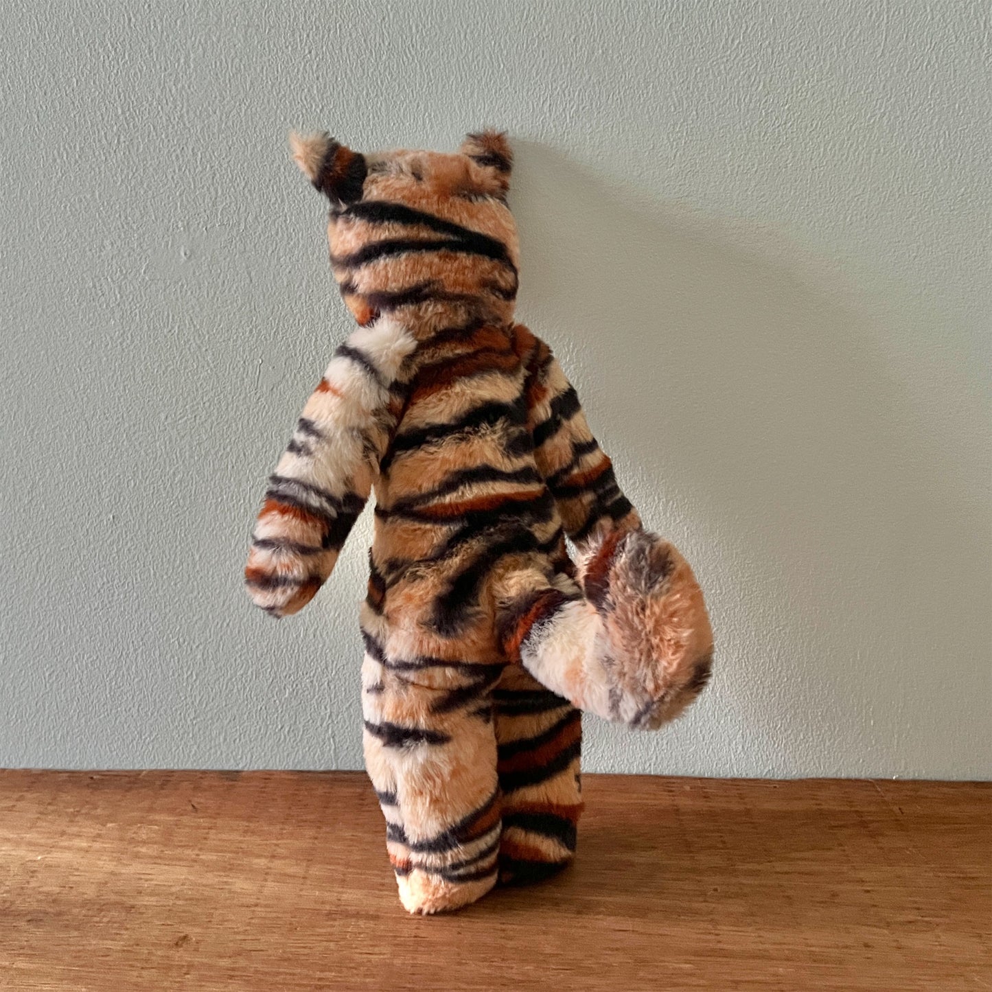 【AYUKO HAZU】Cat T 5