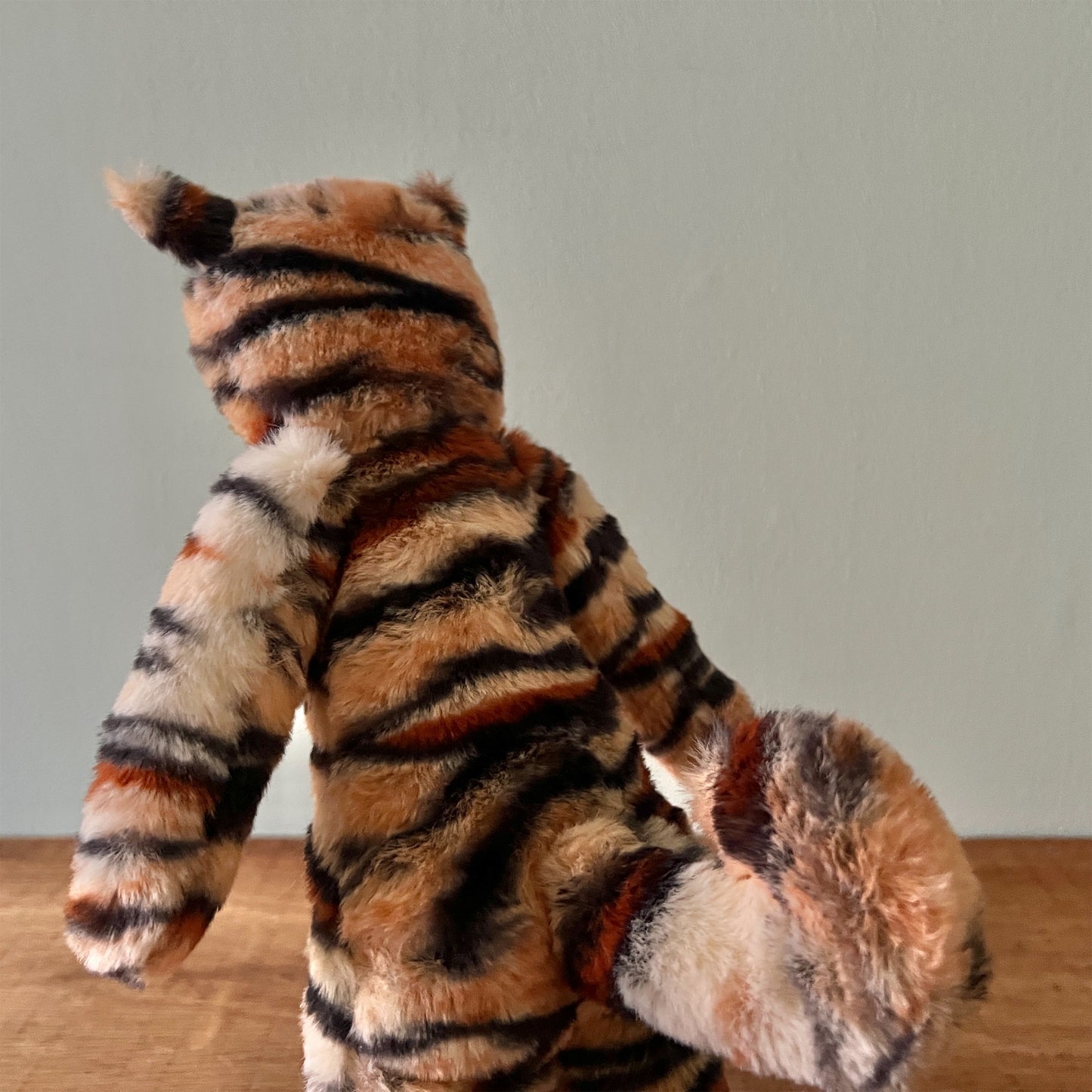 【AYUKO HAZU】Cat T 5