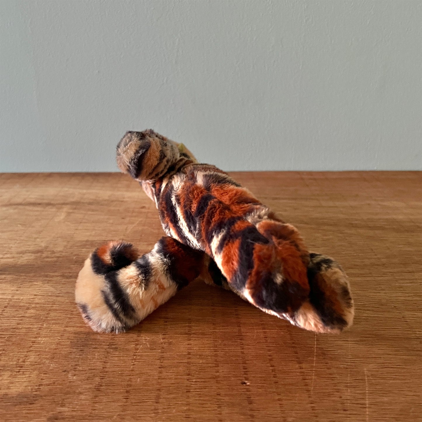 【AYUKO HAZU】Cat T 5