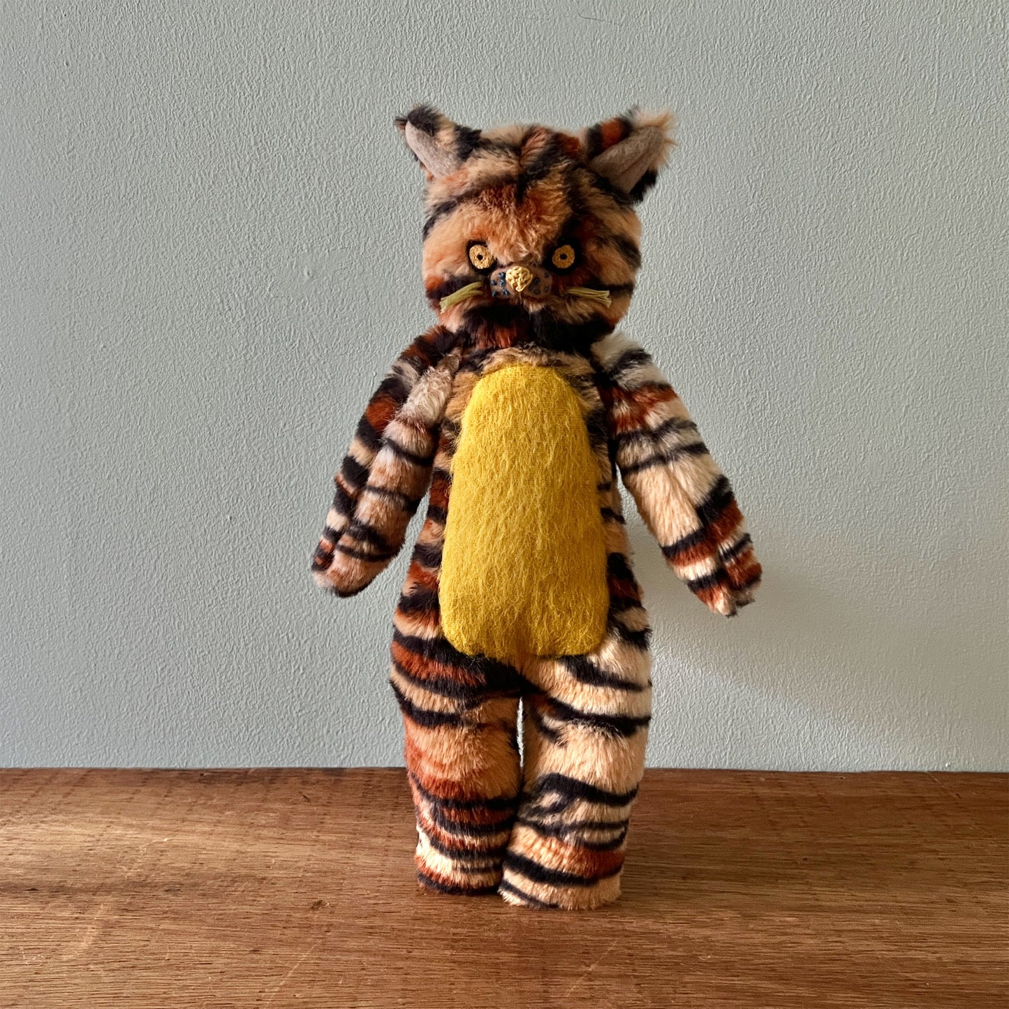 【AYUKO HAZU】Cat T 5