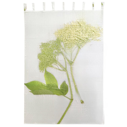 【Colomba Leddi】CURTAIN_COTTON VOILE_elderberry