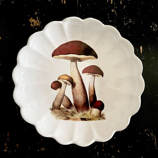 【Astier de Villatte】Mushroom Cluster Deep Platter