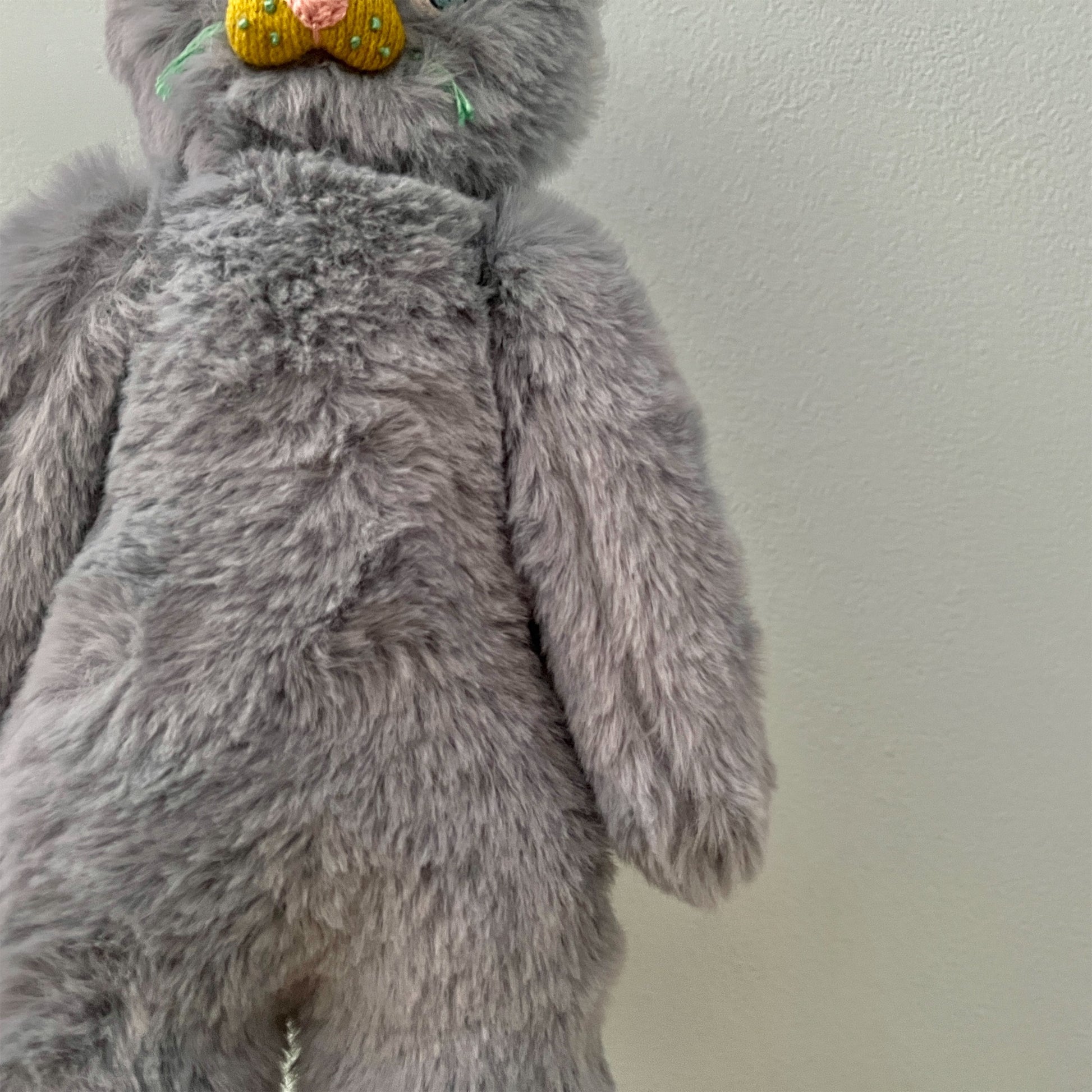【AYUKO HAZU】Cat T  26_6