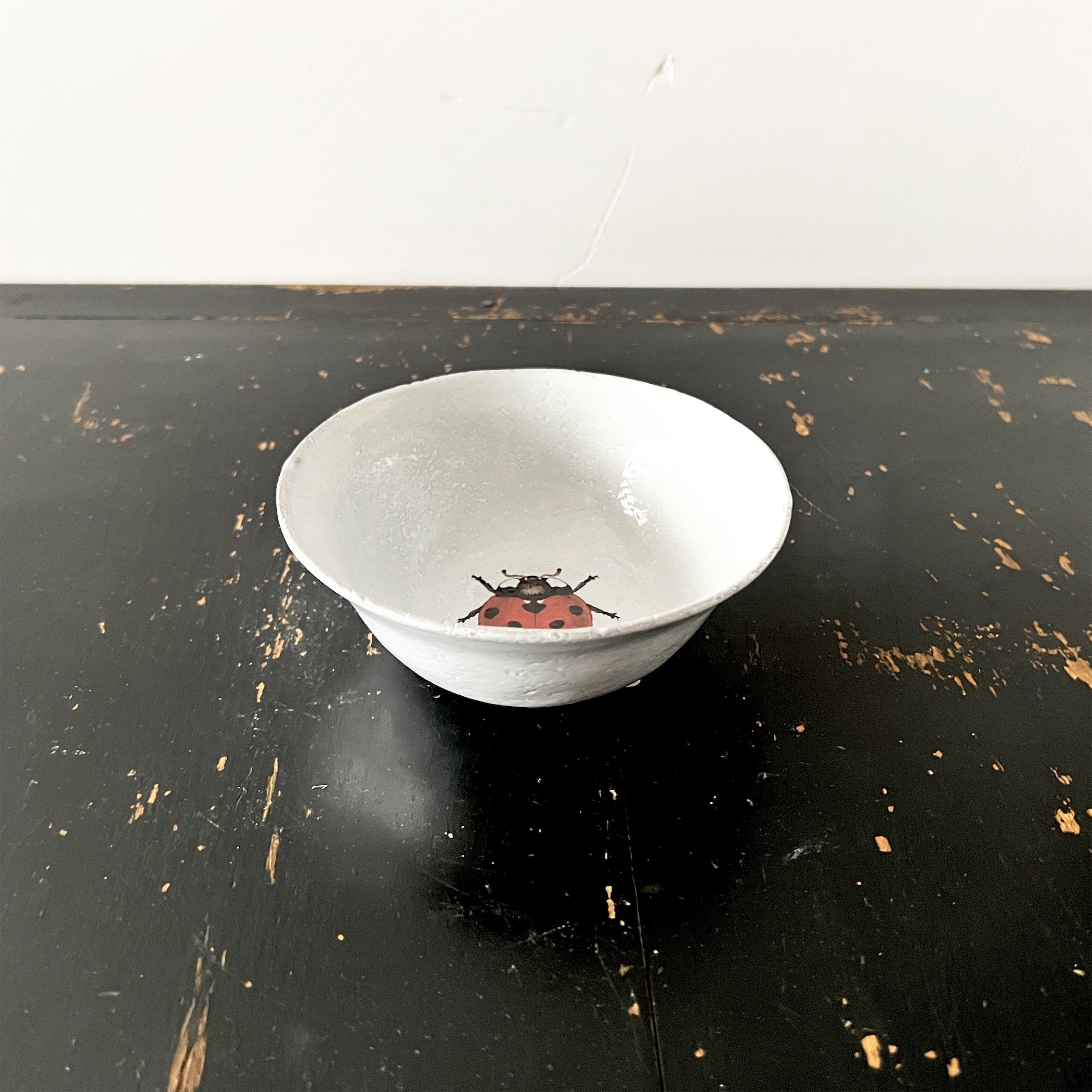 Astier de Villatte】Ladybug スーププレート | フィールシーン / FEEL